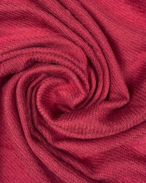 raagari pashmina shawl