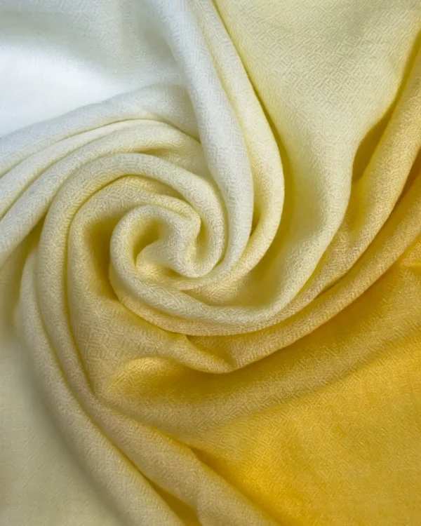 raagari- pashmina shawl