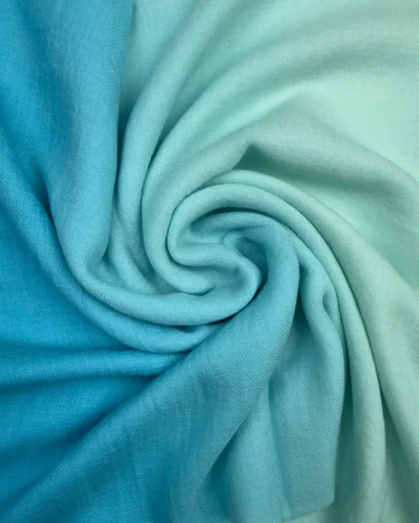 raagari - pashmina shawl