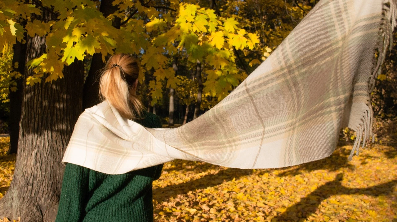 Pashmina vs cashmere shawl comparison showing soft wool texture and drape in natural setting